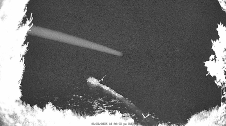 Image from 2025-06-22