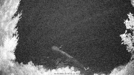 Image from 2025-06-22