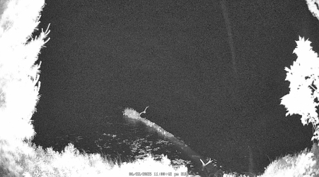 Image from 2025-06-22