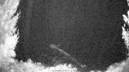 Image from 2025-06-22