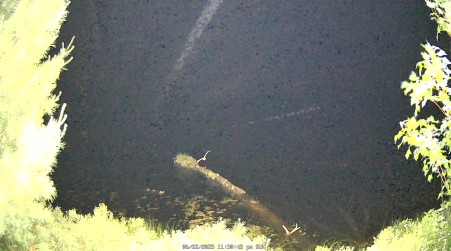 Image from 2025-06-22