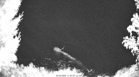 Image from 2025-06-23