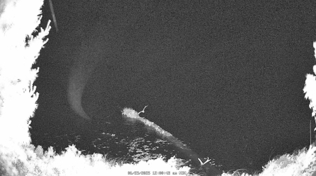 Image from 2025-06-23