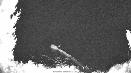 Image from 2025-06-23