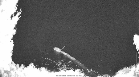 Image from 2025-06-23