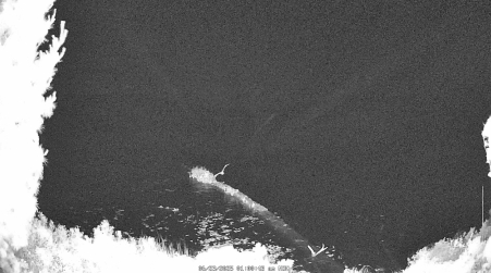 Image from 2025-06-23