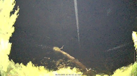 Image from 2025-06-23