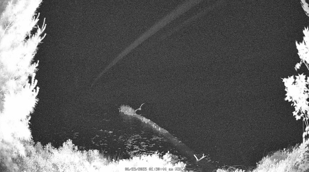 Image from 2025-06-23