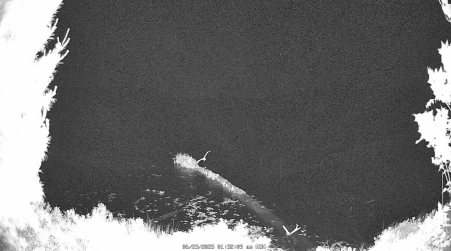 Image from 2025-06-23