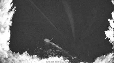Image from 2025-06-23