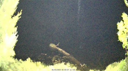 Image from 2025-06-23