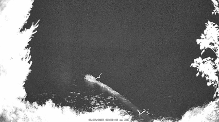 Image from 2025-06-23