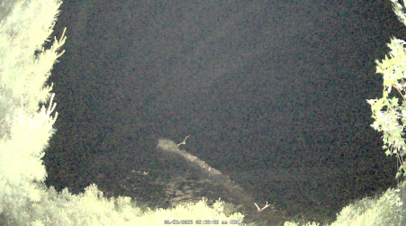 Image from 2025-06-23