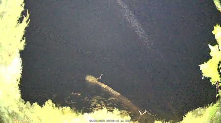 Image from 2025-06-23