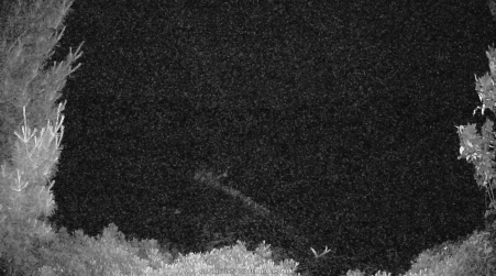 Image from 2025-06-23