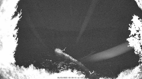Image from 2025-06-23