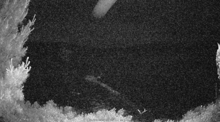Image from 2025-06-23