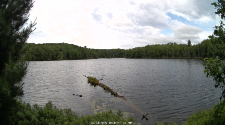 Image from 2025-06-23