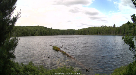 Image from 2025-06-23