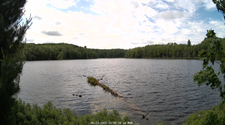Image from 2025-06-23