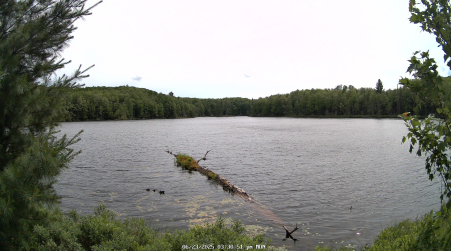Image from 2025-06-23