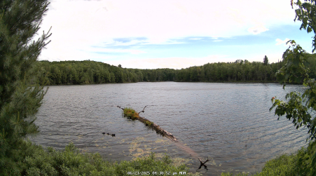 Image from 2025-06-23
