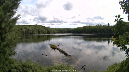 Image from 2025-06-23