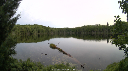 Image from 2025-06-23