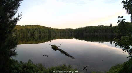 Image from 2025-06-23