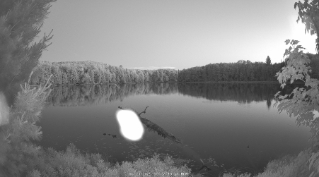 Image from 2025-06-23