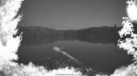 Image from 2025-06-23