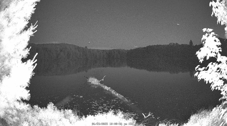 Image from 2025-06-23