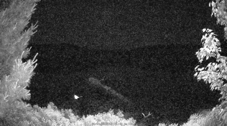 Image from 2025-06-23