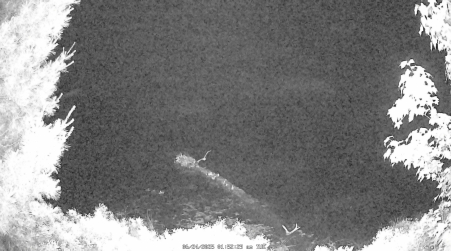 Image from 2025-06-24