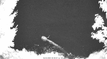 Image from 2025-06-24
