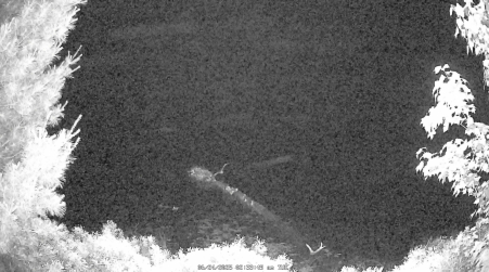 Image from 2025-06-24