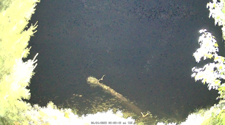 Image from 2025-06-24
