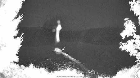 Image from 2025-06-24