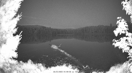 Image from 2025-06-24