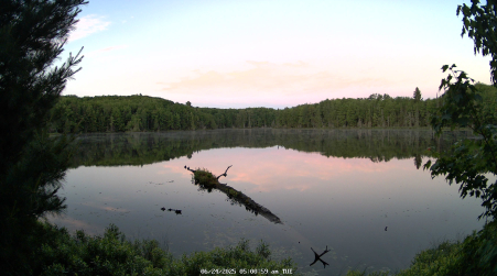 Image from 2025-06-24