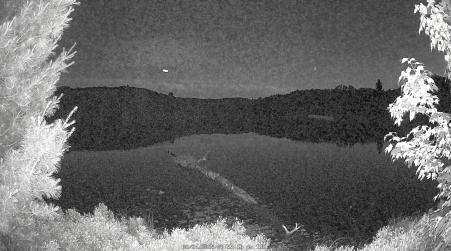 Image from 2025-06-24