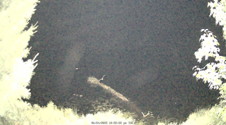Image from 2025-06-24