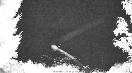 Image from 2025-06-24