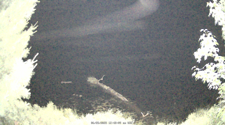 Image from 2025-06-25