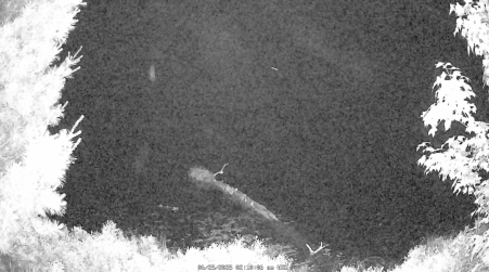 Image from 2025-06-25