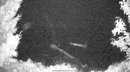 Image from 2025-06-25