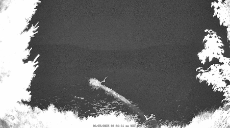Image from 2025-06-25