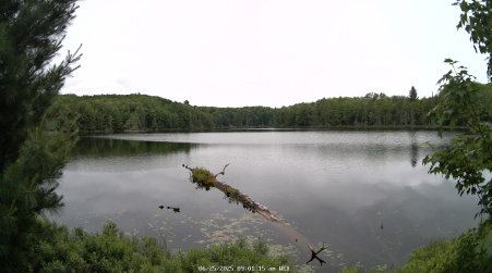Image from 2025-06-25