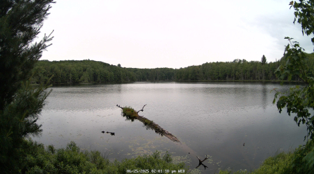 Image from 2025-06-25