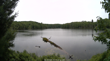 Image from 2025-06-25